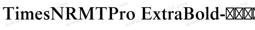 TimesNRMTPro ExtraBold字体转换